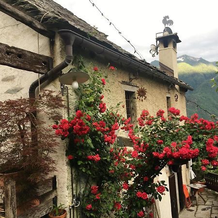 دومودوسولا B&B La Quana المظهر الخارجي الصورة